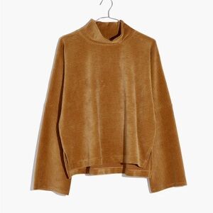 Madewell Velour Turtleneck